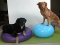 _Ballkissen extreme