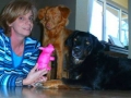 Meine Hunde
